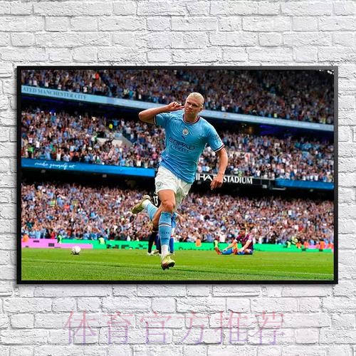 世界杯比利时哈兰德阵容解析权威解读 世界杯比利时哈兰德阵容解析权威解读