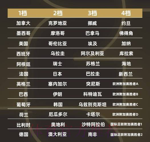 世界杯强队排名入口